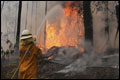Brandweer Australië krijgt hulp van weergoden