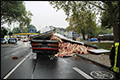 Bulgaarse vrachtwagenchauffeur verliest 23 ton geslachte varkens [+foto's]