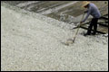 Honderdduizend kilo dode vis in Chinese rivier