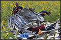 Nabestaanden MH17 bekijken wrakstukken