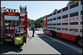 Duitse brandweer koelt 500 oververhitte varkens van Nederlandse transporteur [+foto's]