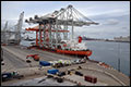 Rotterdamse haven zoekt oplossing voor verlies containerbanen