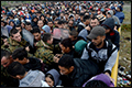 Duizenden migranten steken grens Macedonië over