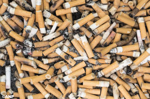 Ministeries bestuderen blanco sigarettenpakjes