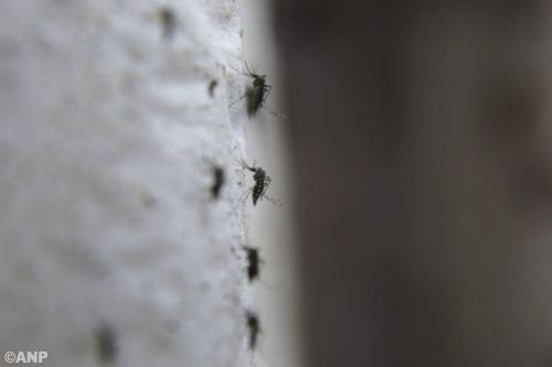 'Insmeren met antimuggenspul is enige optie tegen Zika-virus' 