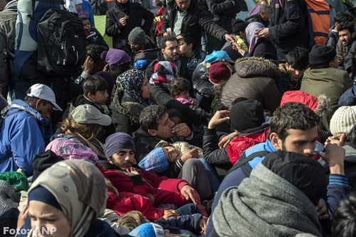 'Aantal asielzoekers naar Nederland halveert'