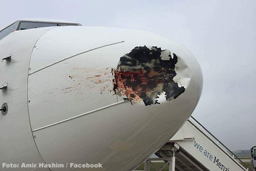 Vogel veroorzaakt groot gat in neus Boeing 737 [+foto's]