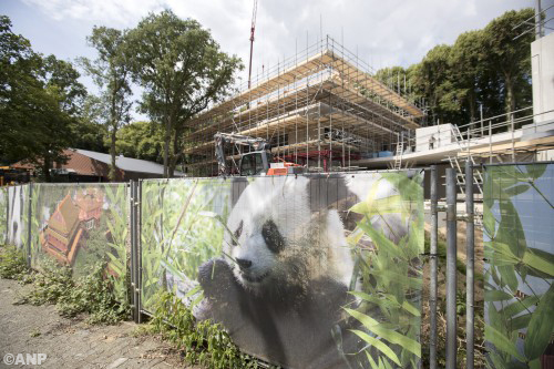 Komst reuzenpanda's naar Ouwehands Dierenpark uitgesteld
