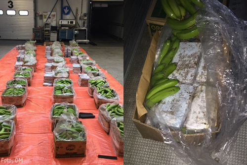 HARC onderschept 250 kilo drugs tussen bananen[+foto]