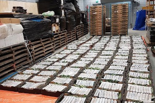 Arrestaties na vondst 1000 kilo cocaïne in Oudenbosch
