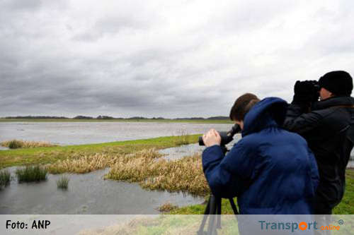 Bijna veertig trekvogels bedreigd