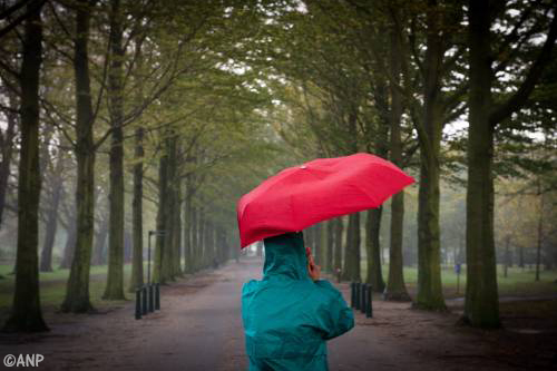 Weinig schade, wel overlast door storm