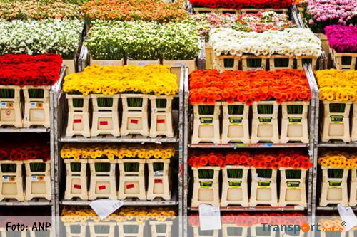 Oost-Europa duwt export bloemen en planten