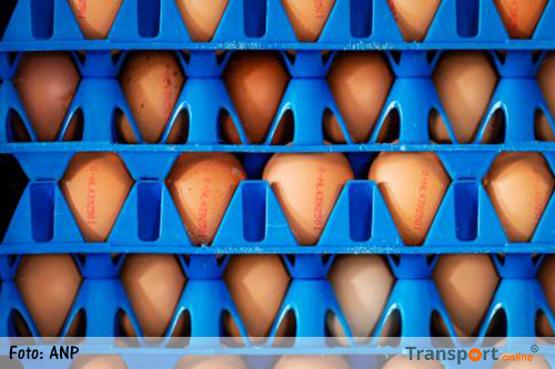 Duitse supermarkten halen Nederlandse eieren uit schappen