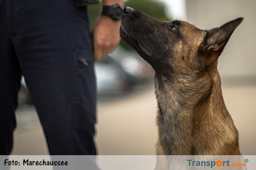 Hond in opleiding onderschept trailer met 'inklimmers'