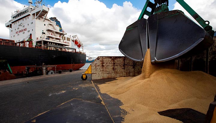North Sea Port gastheer voor Europese bulksector