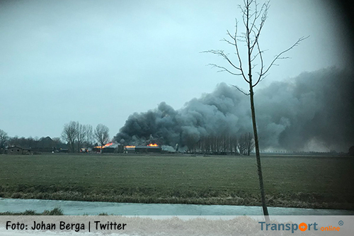 Tientallen koeien omgekomen door brand in Zwaagdijk [+foto]