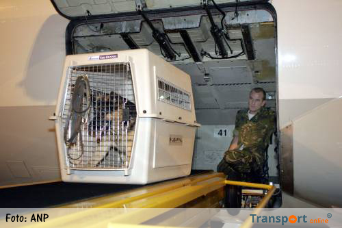 Hond opent vrachtluik van passagierstoestel