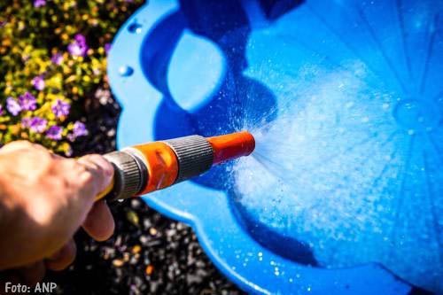 Man gooit muizengif in kinderzwembadje buren