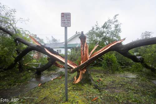 Doden door omvallen boom tijdens orkaan 'Florence'