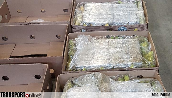 Politie vindt 60 kilo cocaïne tussen bananen bij dc