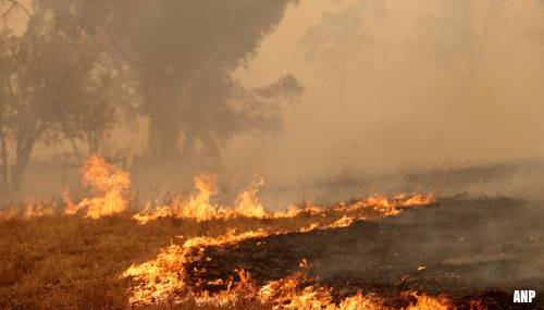 Door bosbranden en luchtvervuiling geen vuurwerk in Australië