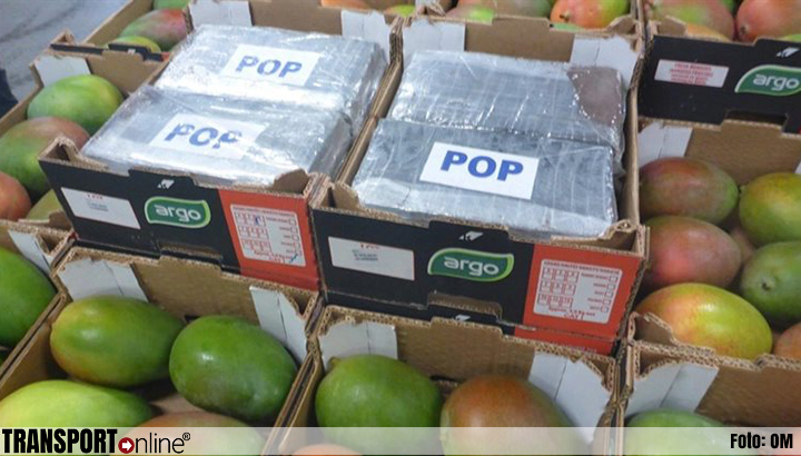 Douane vindt 550 kilo cocaïne tussen mango's