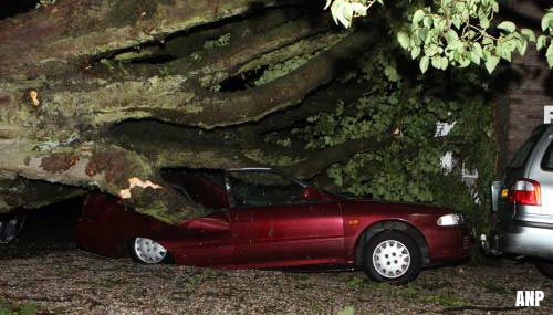 Gewonde door boom op auto in Geldrop