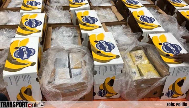 1600 kilo cocaïne tussen bananen in Rotterdamse haven [+foto]