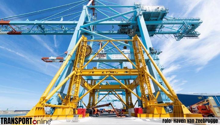 Groei van 12,5 procent voor Haven van Zeebrugge in eerste halfjaar 2019