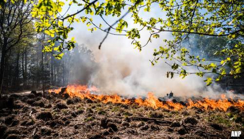 Heel Herkenbosch ontruimd vanwege natuurbrand