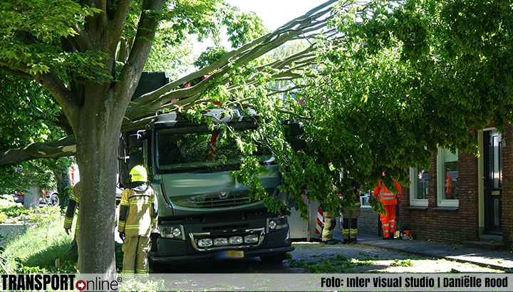 Tak van boom op dak vrachtwagen na aanrijding [+foto]
