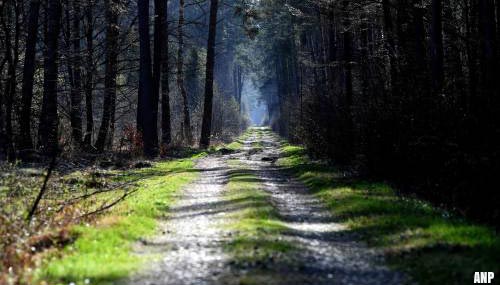 Klopjacht op Pool die zich met poema verstopt in bos