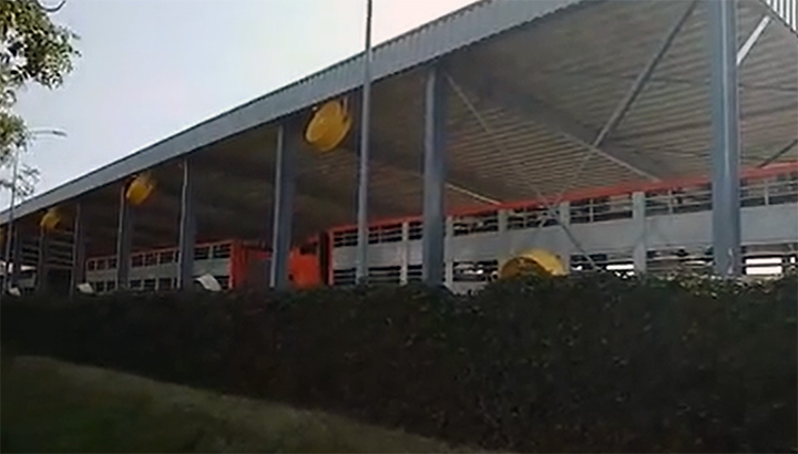 'Varkens snakken naar lucht, ondanks nieuwe regels veetransport' [+video]