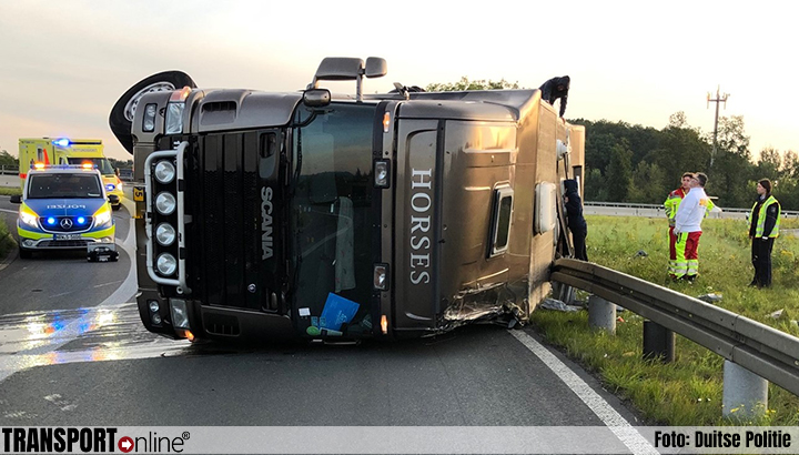 Nederlandse vrachtwagen met vijf paarden gekanteld op Duitse snelweg [+foto's]