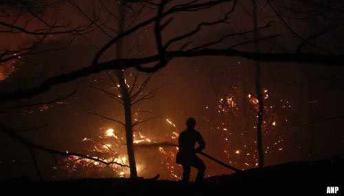Dorpen ten noorden van Athene ontruimd vanwege bosbranden