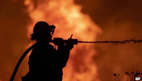 Bosbranden in Zuid-Italië eisen levens