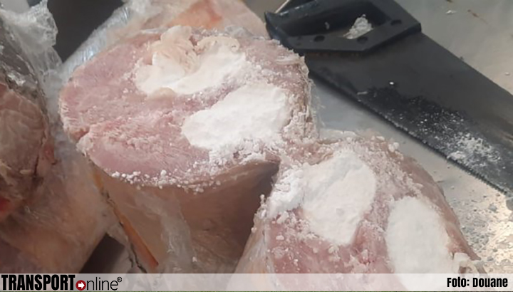 Douane vindt 299 kilo cocaïne in lading vis op Schiphol