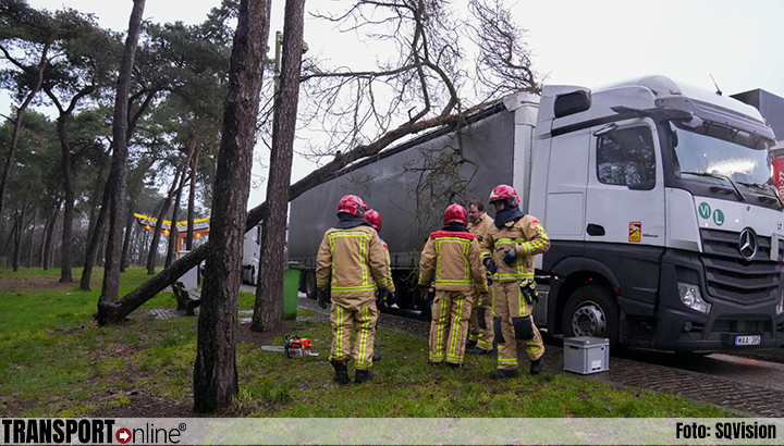Boom op vrachtwagen gevallen in Asten [+foto]