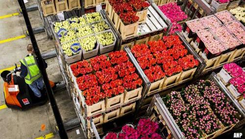 Recordomzet voor bloemenveiling Royal FloraHolland in 2021