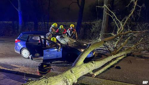 Storm Dudley zorgt voor omgewaaide bomen en auto in greppel