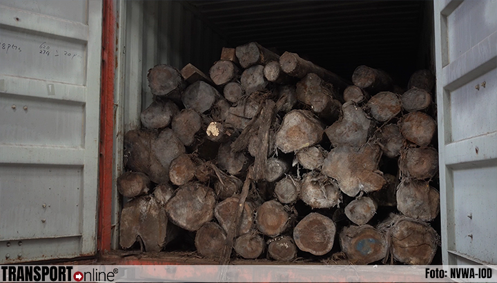 'Fout hout' gebruikt als deklading voor drugs