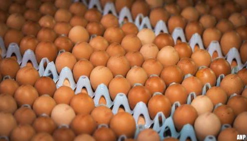 Pluimveehouders willen door oorlog meer geld voor eieren