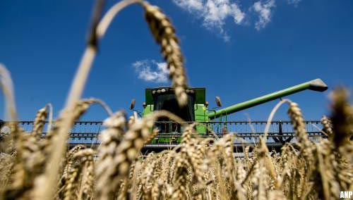 Zorgen over tarwe in veel landen, Rusland verwacht recordoogst
