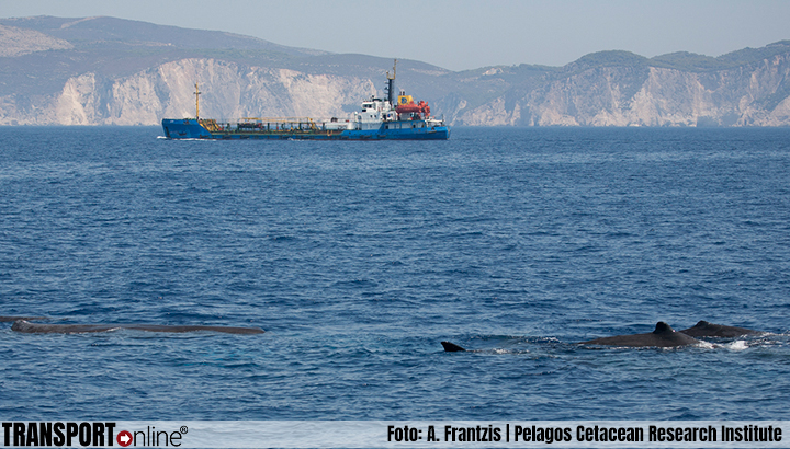 Na MSC raadt nu ook Duitse redersvereniging aangepaste vaarroutes aan om aanvaringen met walvissen te voorkomen
