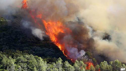 Zuid-Frans dorp en campings ontruimd vanwege bosbrand