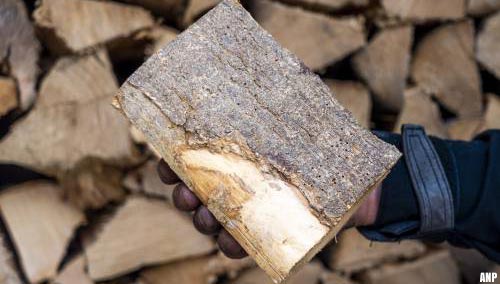 Milieu Centraal: houtkachels niet zuiniger dan cv-ketel