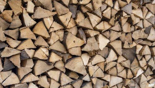 Veel verzet tegen Hongaars plan voor houtkap om kachel te stoken