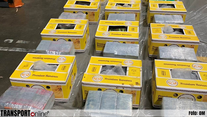 Douane vindt 254 kilo cocaïne in container bananen in haven Vlissingen [+foto]