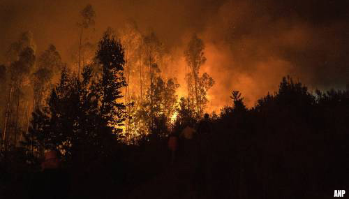 Honderden geëvacueerd vanwege bosbrand in West-Spanje